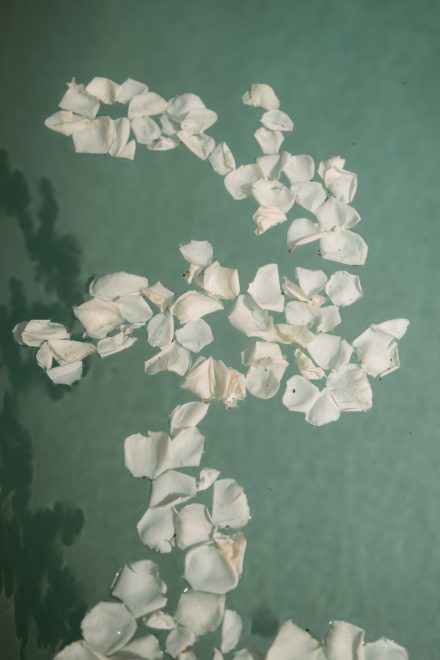 Rose petals floating in Abbotsford back yard pool for the wedding